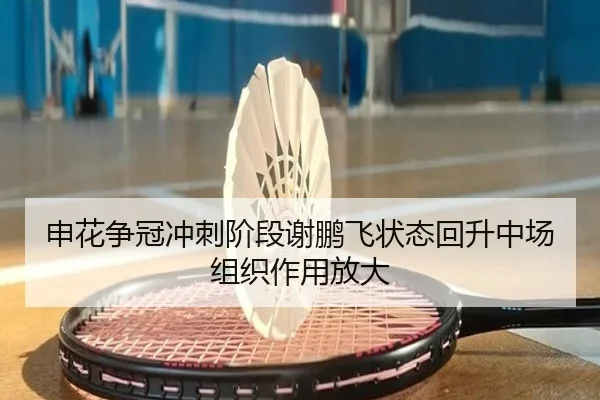 申花争冠冲刺阶段谢鹏飞状态回升中场组织作用放大 - Dafabet
